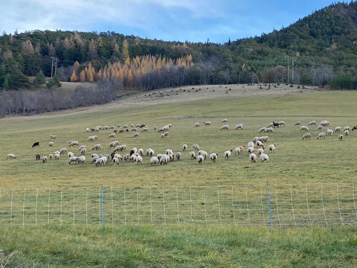 Superbe Ferme Renovee En Chalet De Luxe En Pleine Nature Barcelonnette Eksteriør bilde